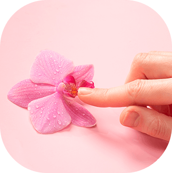 Flacidez Vaginal e Grandes Lábios